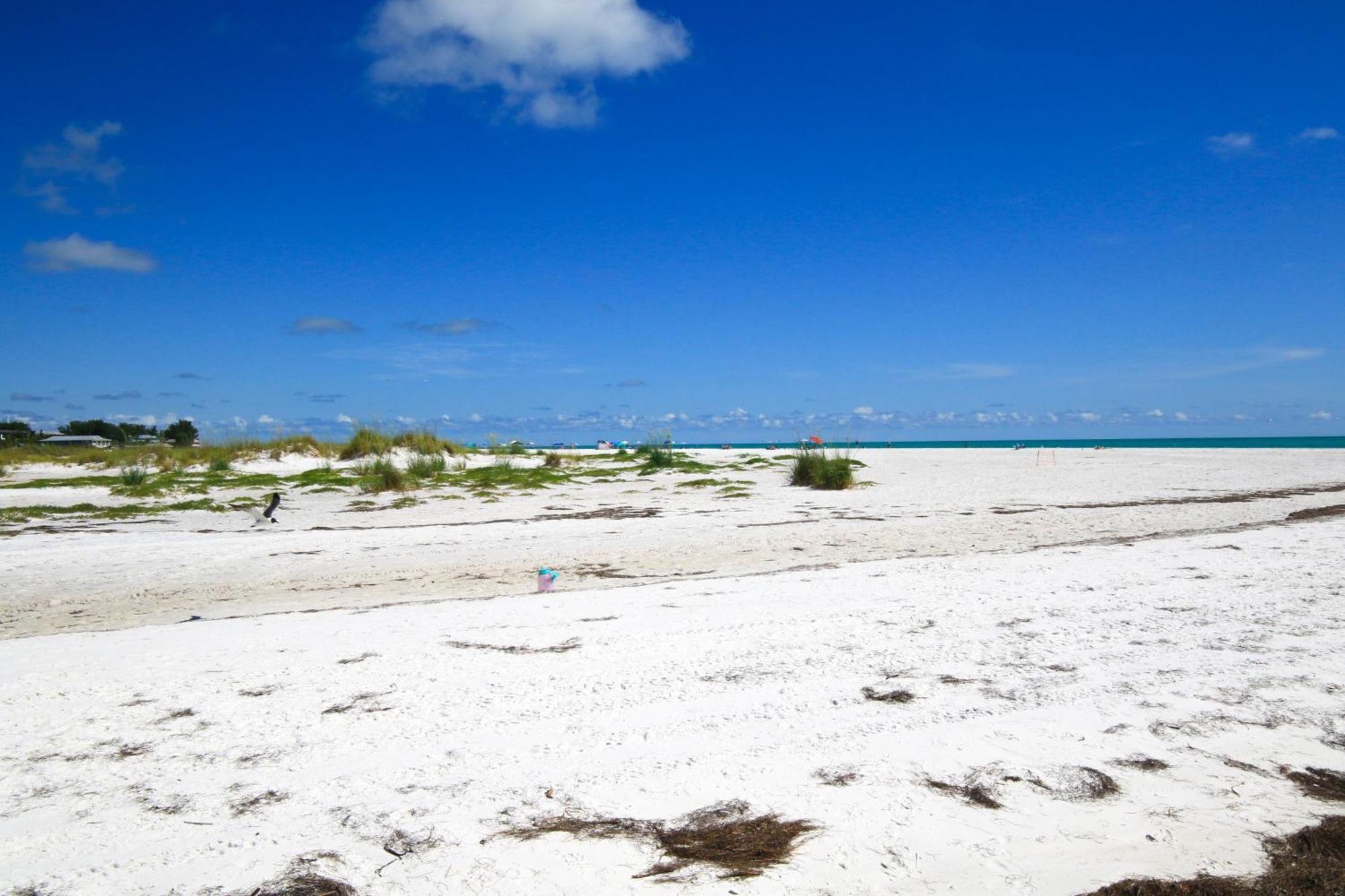 Anna Maria Island Runaway Tropical Dream-One Minute Walk To The Beach-Heated Pool Bradenton Beach Ngoại thất bức ảnh