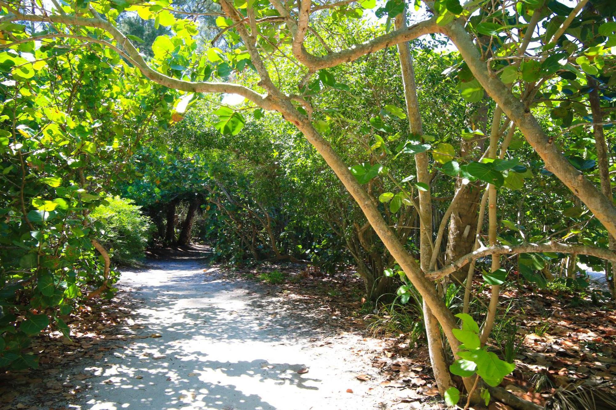 Anna Maria Island Runaway Tropical Dream-One Minute Walk To The Beach-Heated Pool Bradenton Beach Ngoại thất bức ảnh